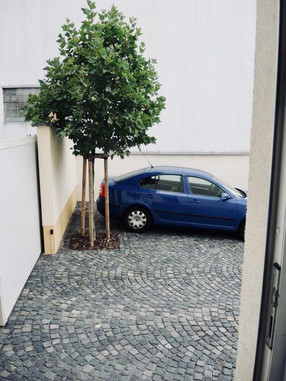 Modernes Apartment - Neustadt/Weinstrasse Stadt Neustadt an der Weinstraße Esterno foto